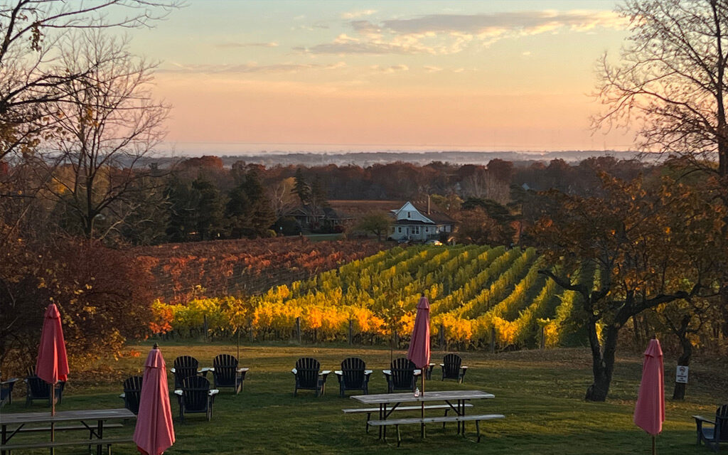 The Organized Crime Winery